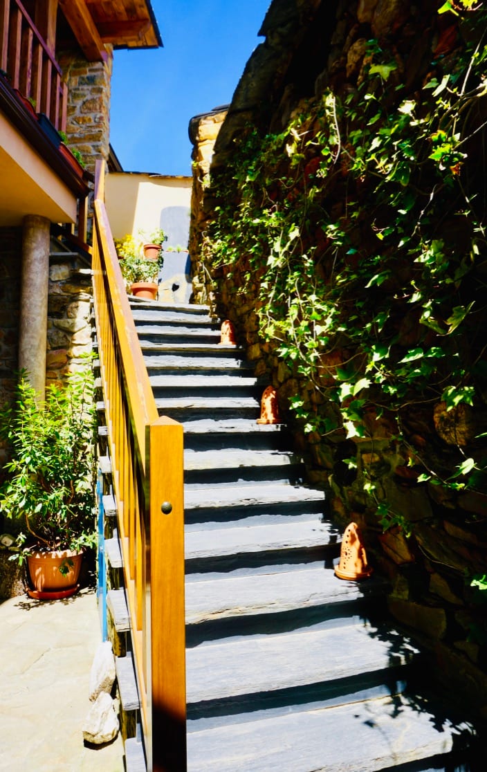 The Lodge Pozos